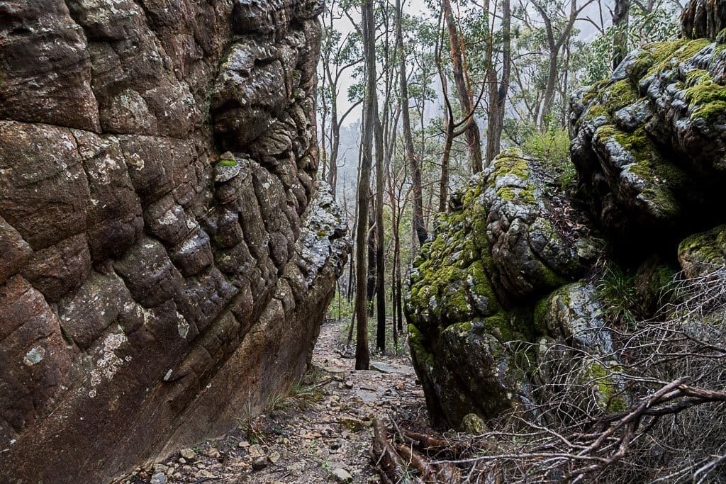 arteatlas | Harrop Track: Hike the Harrop Track