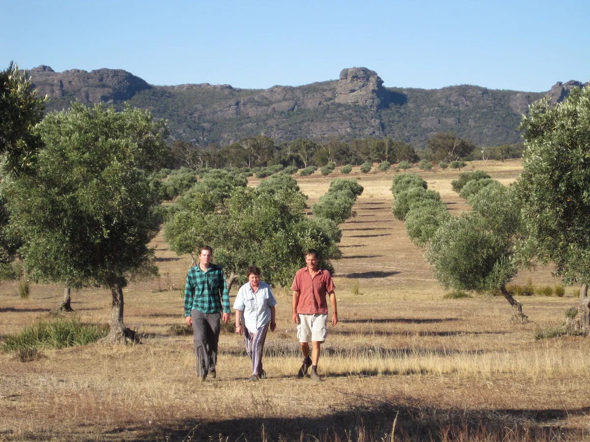 arteatlas | Grampians Olive Co.: Visit Grampians Olive Co. for local produce