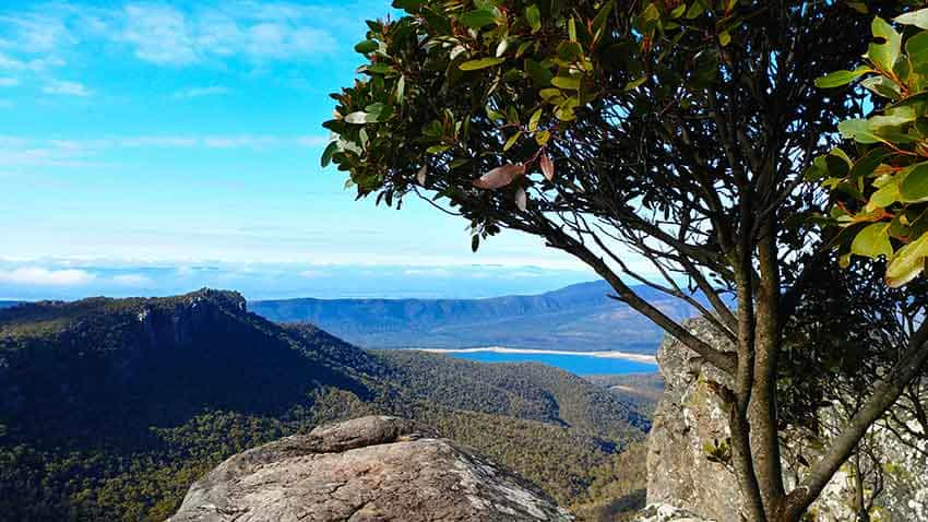 arteatlas | Bellfield Peak: Hike to the summit of Bellfield Peak